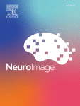 www.sciencedirect.com