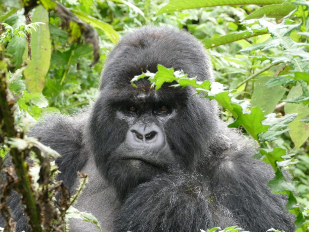 UGW-17-Apr-2018-KRC-HIRWA10-1024x768.jpg