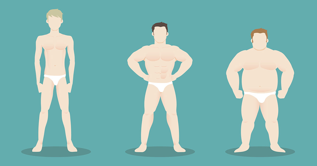 Your Body Type - Ectomorph, Mesomorph or Endomorph? | Muscle & Strength