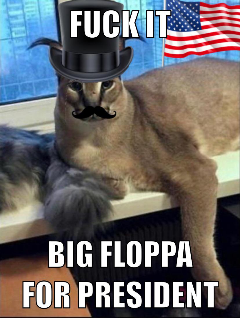 8kpgfmabeaq51.jpg