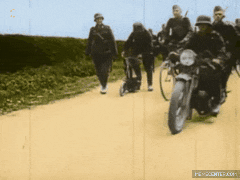 giphy.gif
