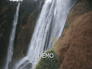 giphy.gif