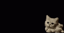 a cat is sitting in a cloud of smoke on a table .