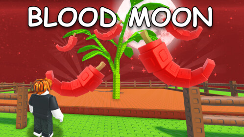 www.roblox.com