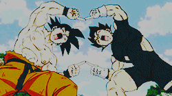 tumblr_pm41xu7xKA1y61jy0o3_250.gif