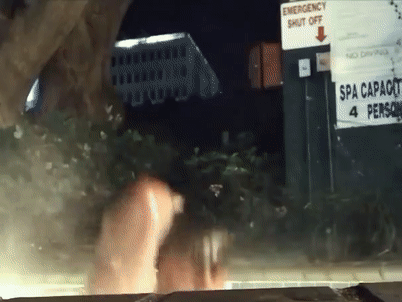 tumblr_ozrmb2IRkg1vz80vao3_500.gifv