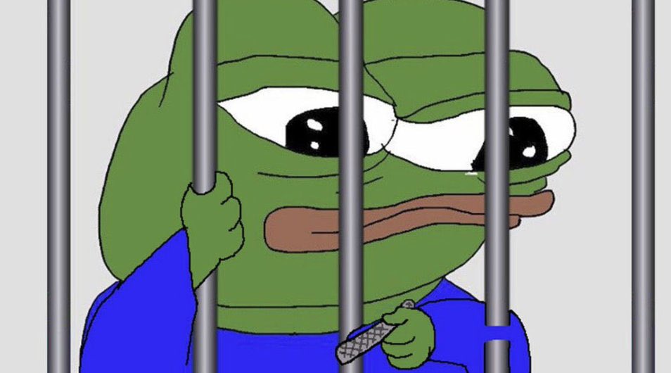 Hydraze 🏴‍☠️ 🦜 on X: First they fudded Pepe. $Pepe is a scam they said.  Then they arrested Pepe. Now they cry. https://t.co/cuLTXQDDfD / X