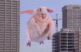 kids in the hall pig GIF by CBC