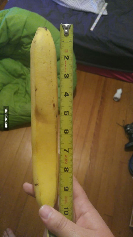 10 inches. Banana for scale - 9GAG