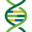 www.ashg.org