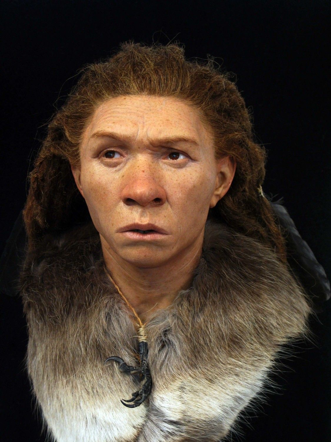 www.livescience.com