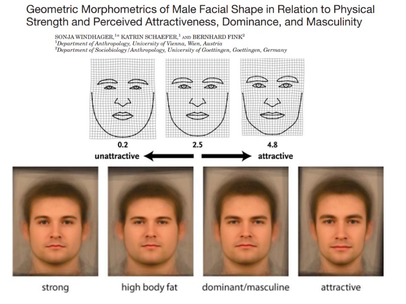 attractive-face-shape.jpg