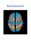 www.yourbrainonporn.com