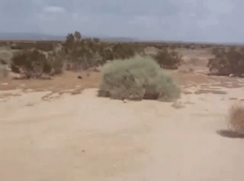 6339702_hop-on-the-cycle-frontier.gif