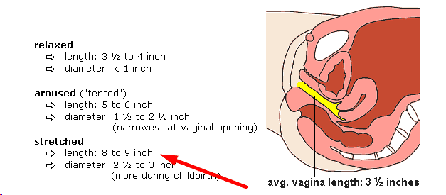 94279