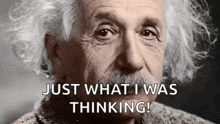 Albert Einstein Animated GIFs | Tenor
