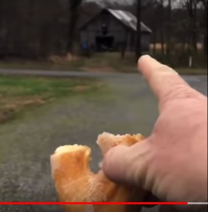 yaeN5Mv.jpg