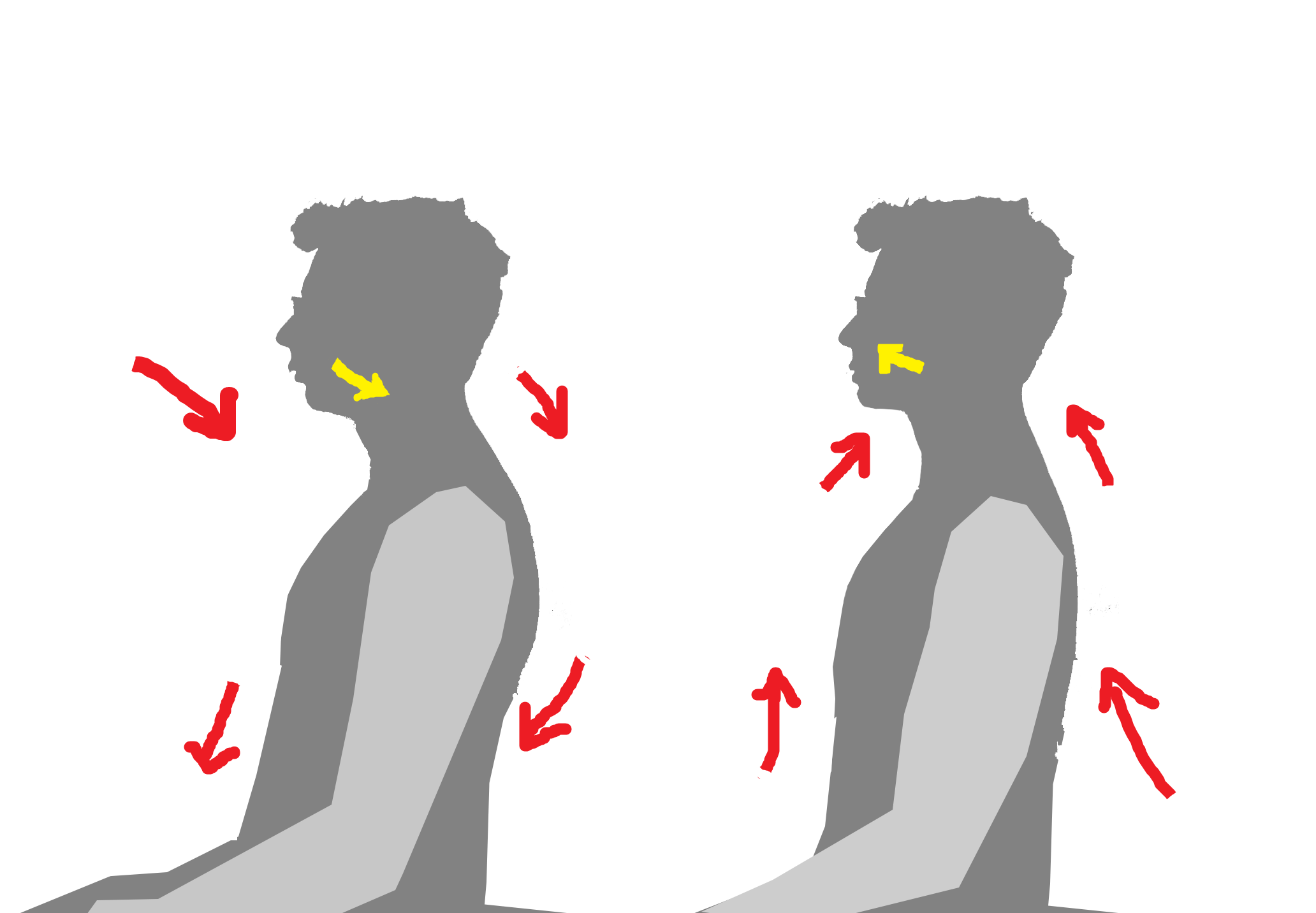 r/orthotropics - I am really convicend that body posture is even more important than tongue (long post)