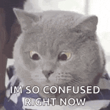 incomodo.gif