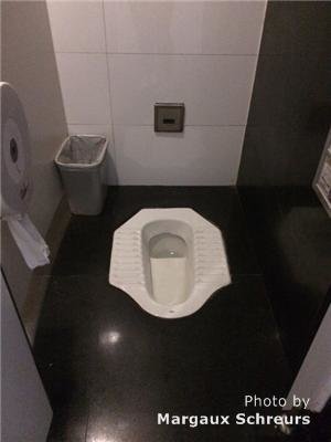 Solved: Squatting on toilet seat (this is a bit gross, sor... - Airbnb  Community