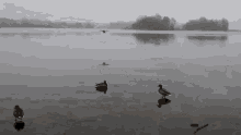 תוצאת תמונה עבור safe landing gif