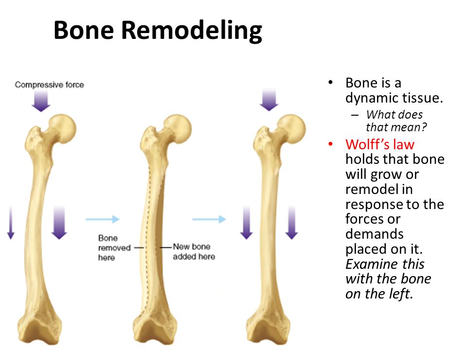 slide_2.jpg