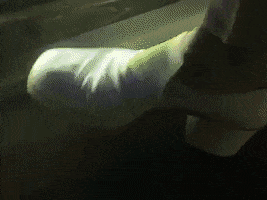 200.gif