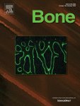 www.sciencedirect.com