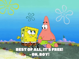 season 8 spongebob's runaway roadtrip: patrick's staycation GIF by SpongeBob SquarePants