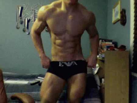 Misc GIF - Find on GIFER