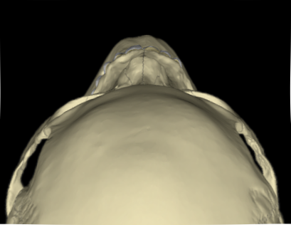 1747187459127