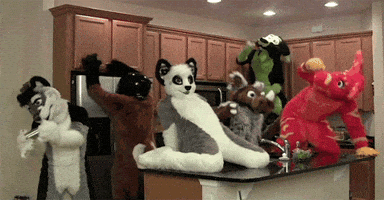 furry party GIF