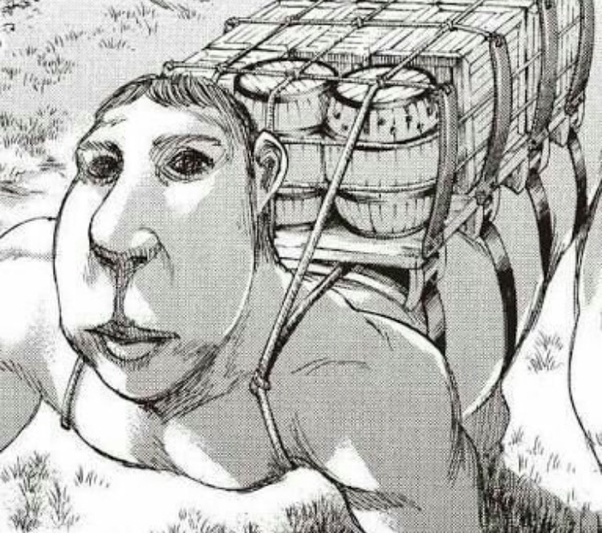 In Attack on Titan, what are the Nine Titans, and who currently are they? -  Quora