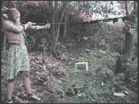 giphy.gif
