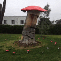 200.gif