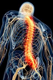 Spinal Cord Injuries | Neuro Medical Clinic of Cenla