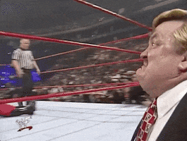 wrestlemania xiv wrestling GIF by WWE