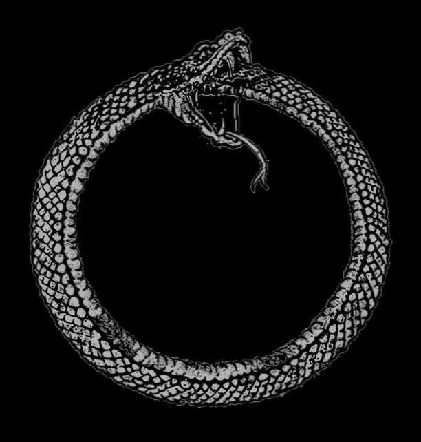 This may contain: a black and white drawing of a snake's head in the shape of a circle