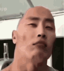 The Rock Eyebrow GIFs | Tenor