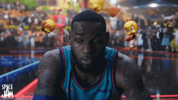 Lebron James Sport GIF by Space Jam