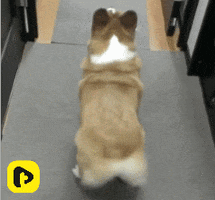 200.gif