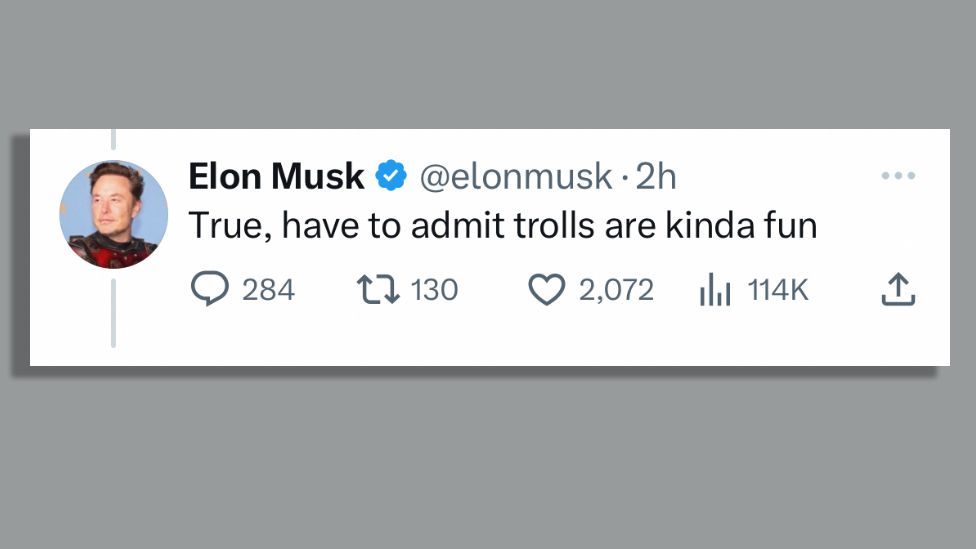 _129017565_musk-1.jpg