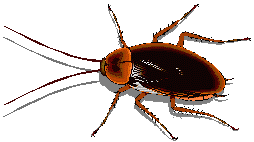 roachliv.gif