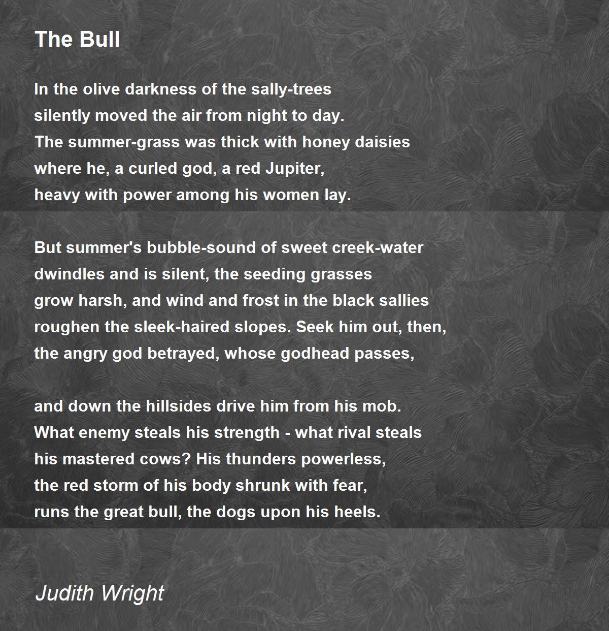 the-bull-4.jpg