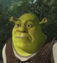 eyebrow-raise-shrek.gif