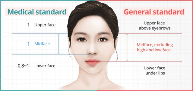 guide-a-mini-guide-to-the-short-midface-one-of-south-koreas-v0-7toednlfwhz91.png