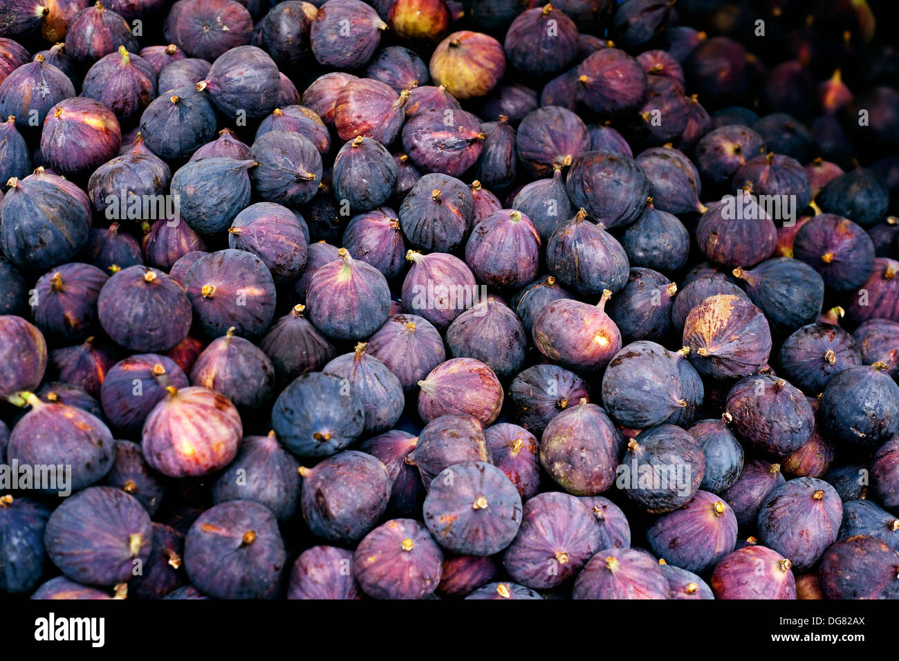 fresh-figs-a-pile-of-unopened-figs-DG82AX.jpg