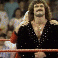 Image result for ravishing rick rude gif