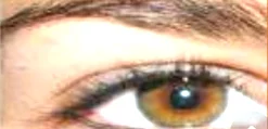 Screenshot 2026-07-10 225900.webp
