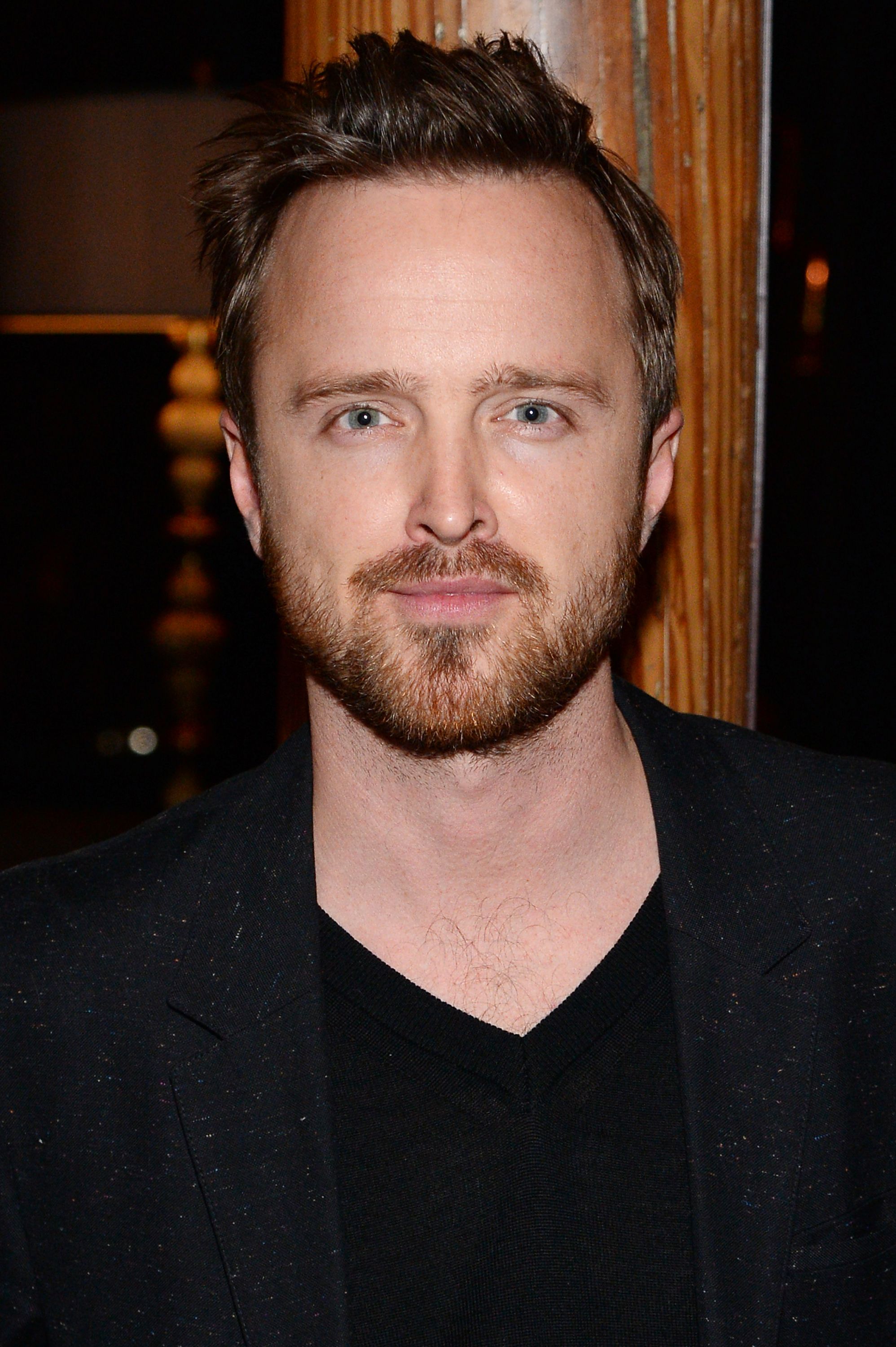 30d095356578c200d4350928048d87b4cc-03-aaron-paul.jpg